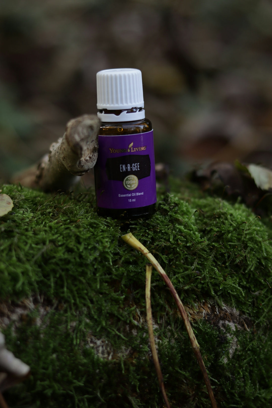 A bottle of essential oil sitting on a mossy surface