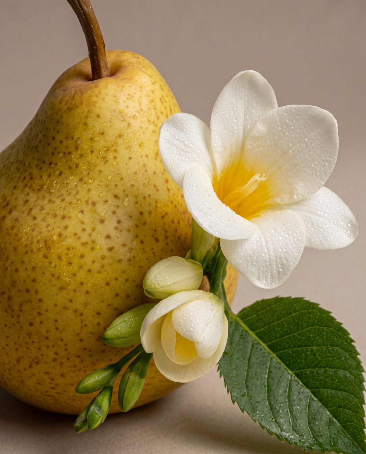 Pear & Freesia Bloom — رذاذ عطري للشعر والجسم - Delune