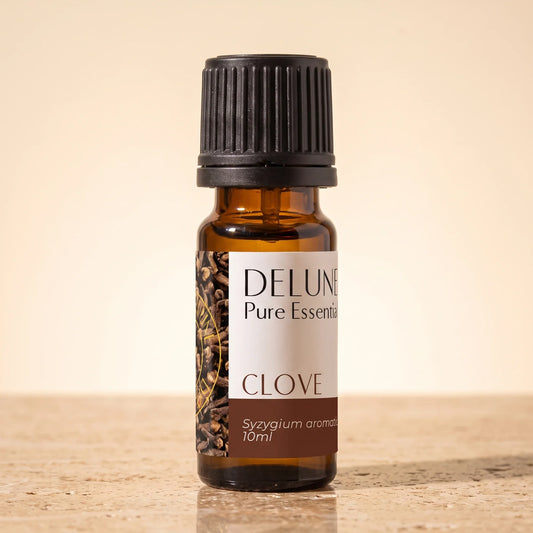 Delune Clove Pure Essential Oil, 10ml amber glass bottle on warm travertine stone