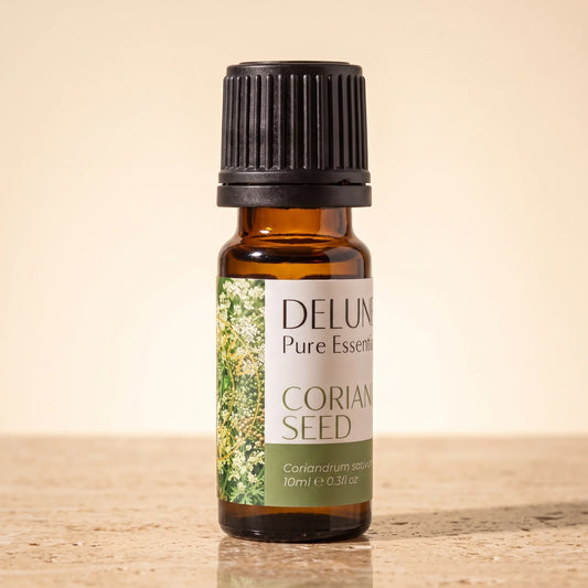 Delune Coriander Seed Pure Essential Oil, 10ml amber glass bottle on warm travertine stone