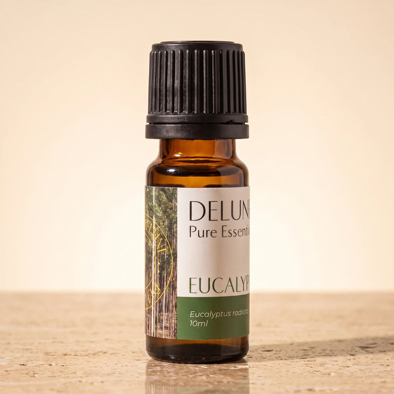 زيت الأوكالبتوس رادياتا العطري النقي - Delune