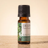 Ravintsara Pure Essential Oil