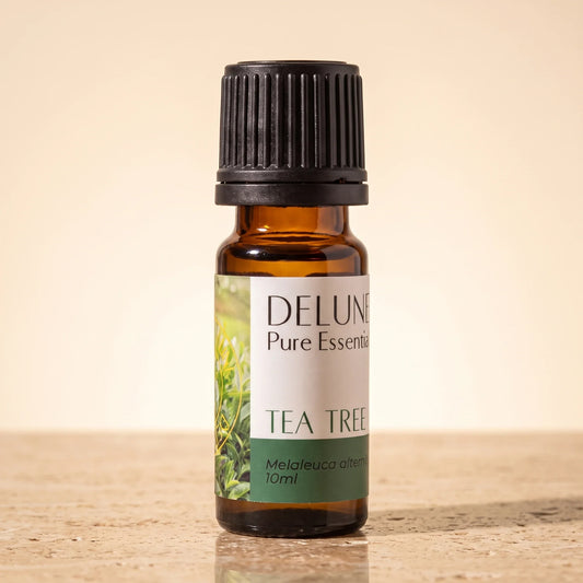 Delune Tea Tree Pure Essential Oil, 10ml amber glass bottle on warm travertine stone