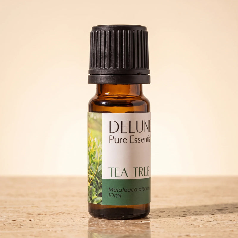 زيت شجرة الشاي العطري النقي - Delune