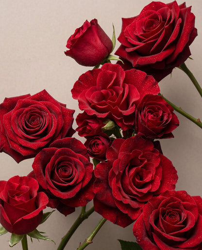 Red, Red Rose — Eau de Parfum - Delune